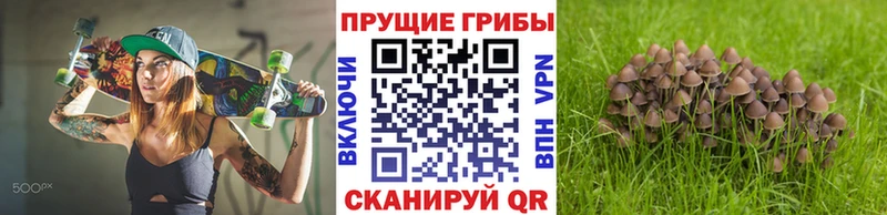 Галлюциногенные грибы прущие грибы  Спасск-Рязанский 